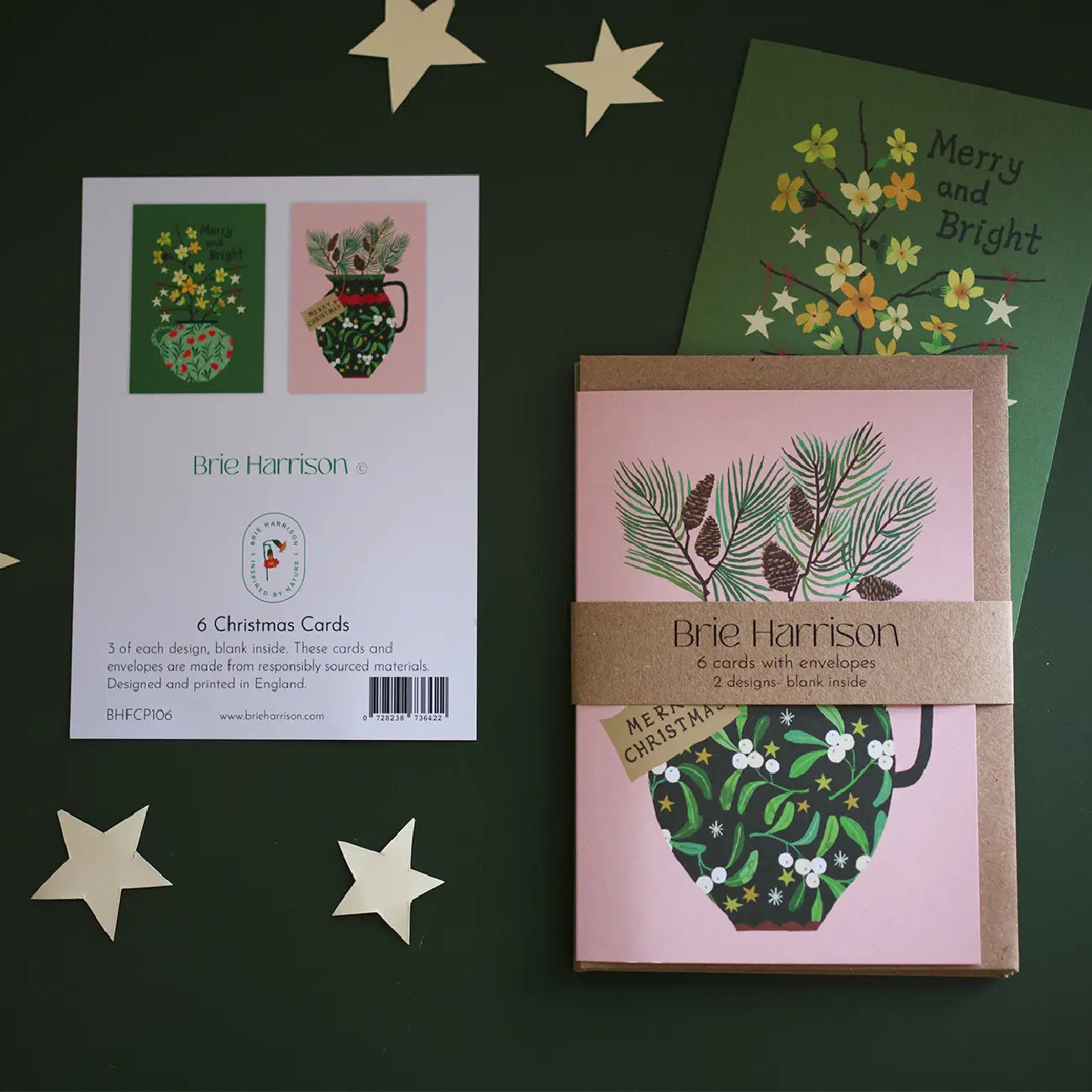 Christmas Greetings Card Pack -Merry & Bright -Mistletoe Jug - THE BRISTOL ARTISAN