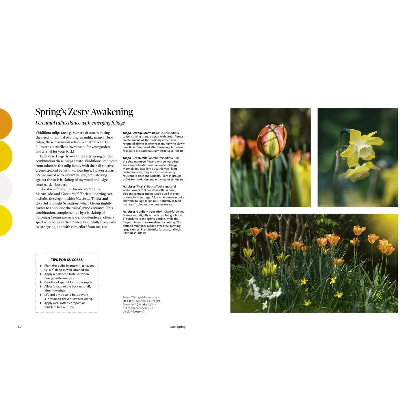 A Year of Colour - THE BRISTOL ARTISAN