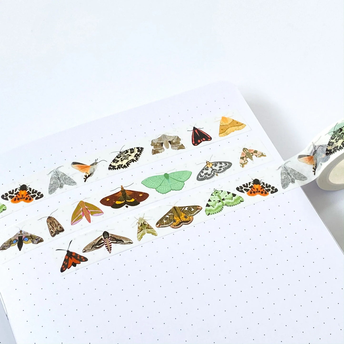 Washi Tape - British Moths - THE BRISTOL ARTISAN