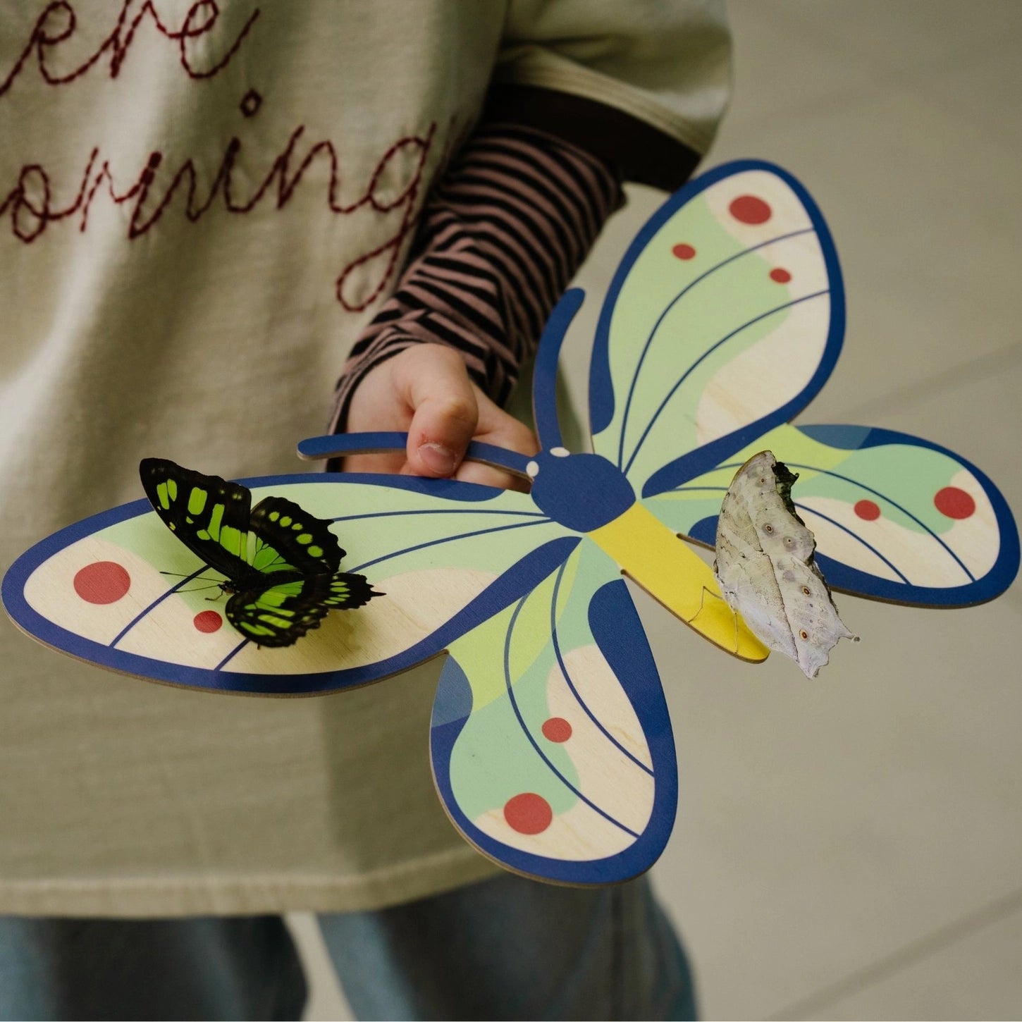 Birdwings Butterfly Wooden Wall Decoration - THE BRISTOL ARTISAN