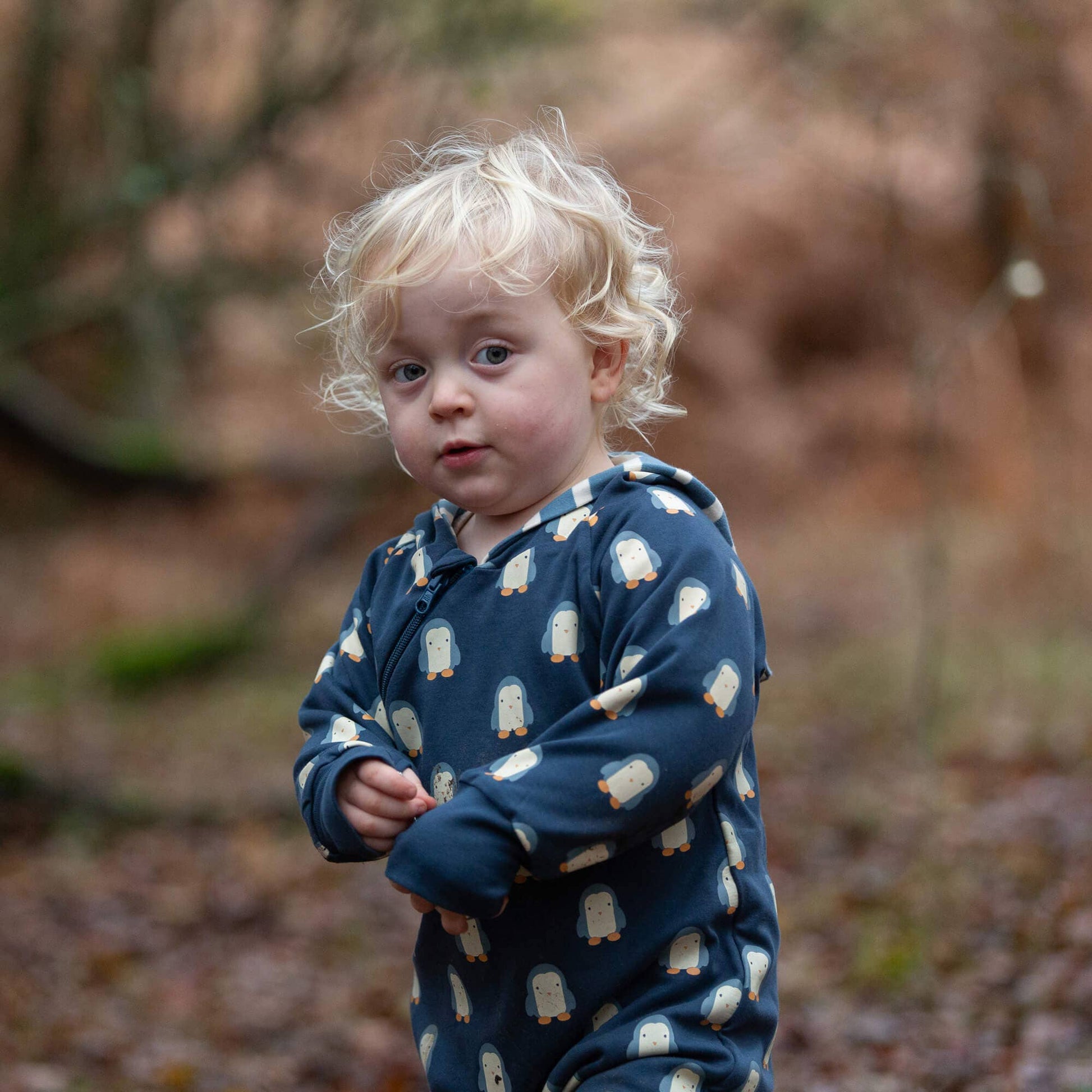 Blue Penguins Hooded Snug Suit - THE BRISTOL ARTISAN