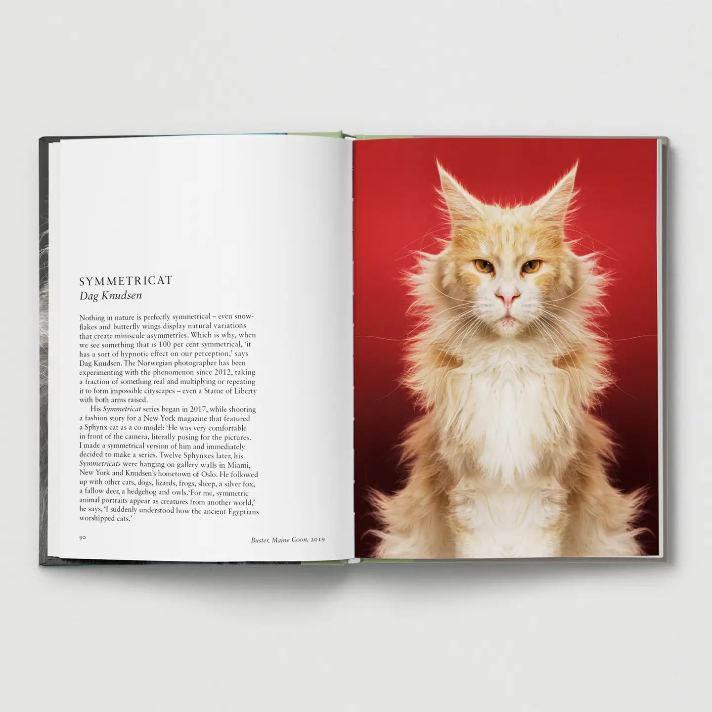 Cat - THE BRISTOL ARTISAN