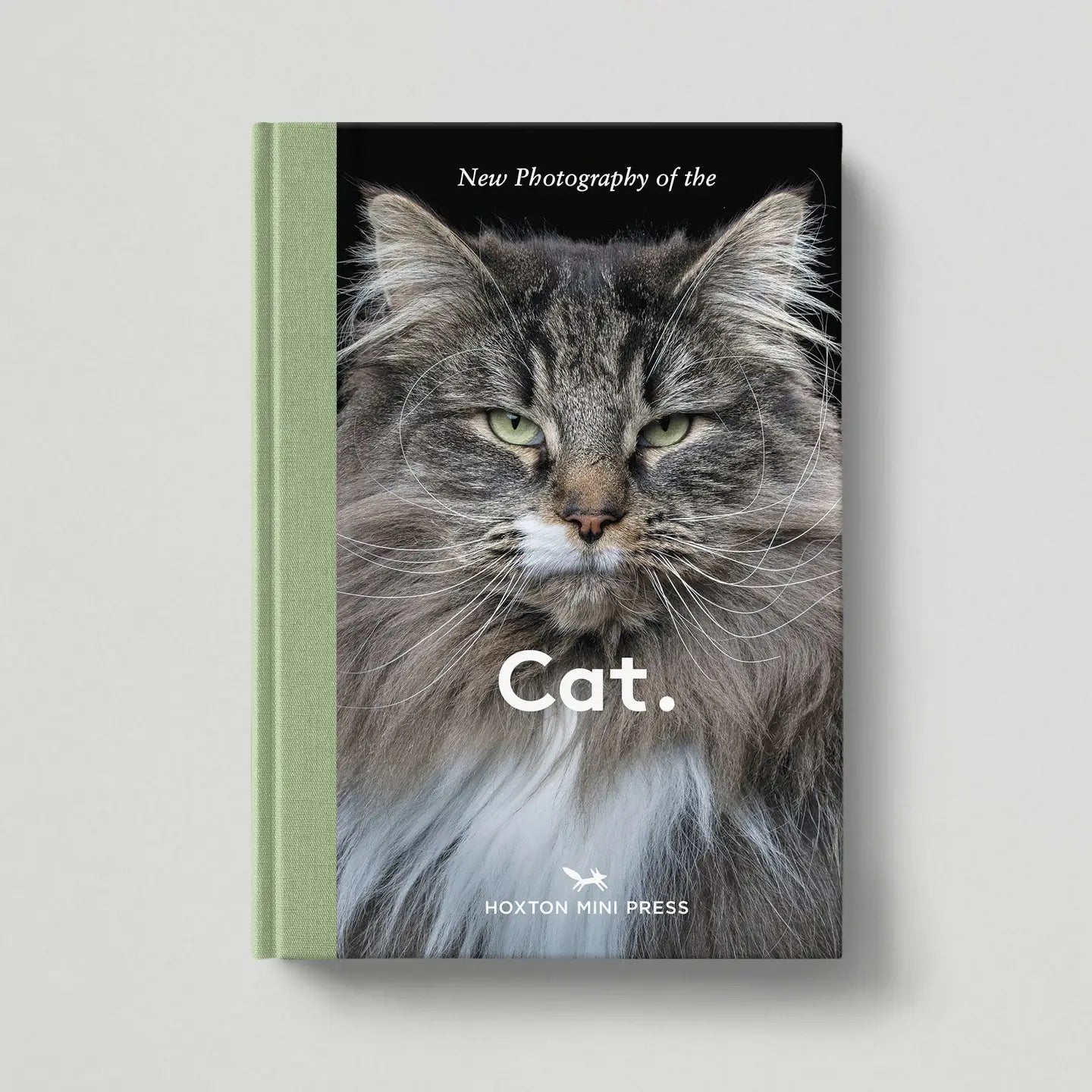 Cat - THE BRISTOL ARTISAN