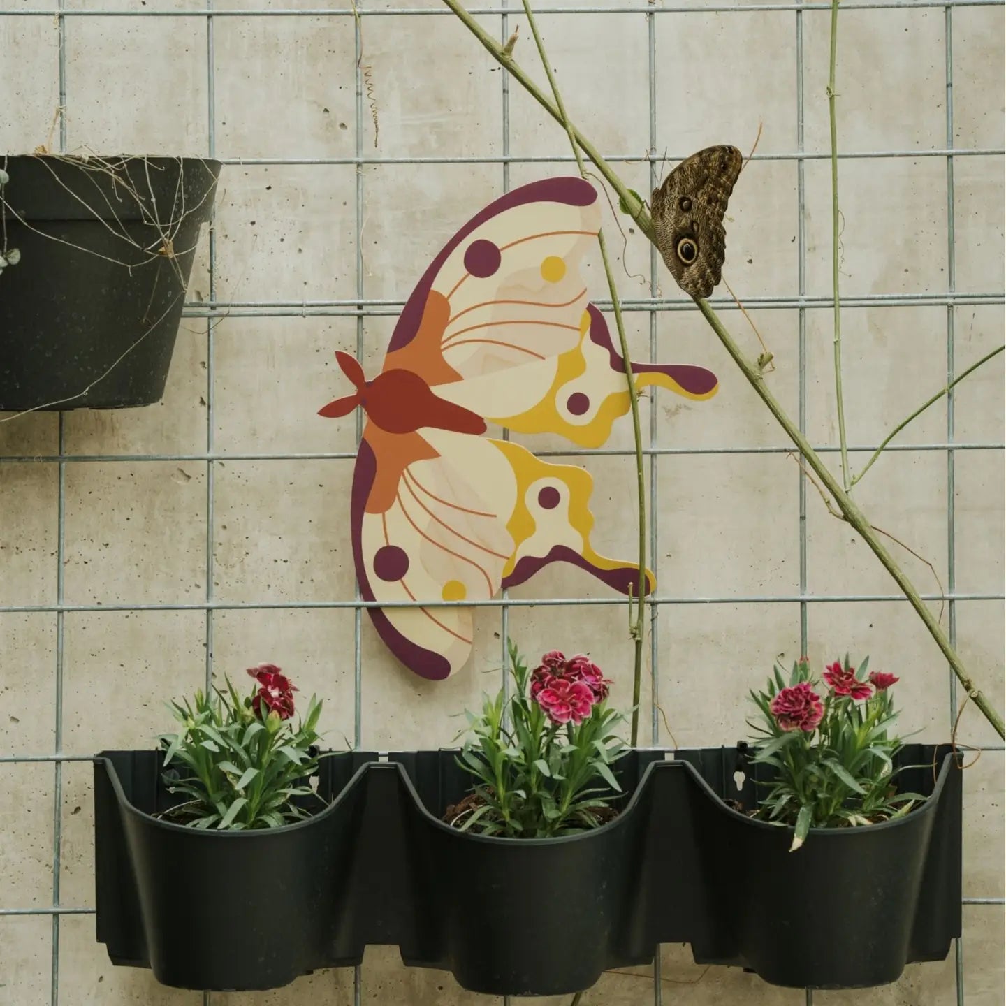 Comet Moth Butterfly Wooden Wall Decoration - THE BRISTOL ARTISAN