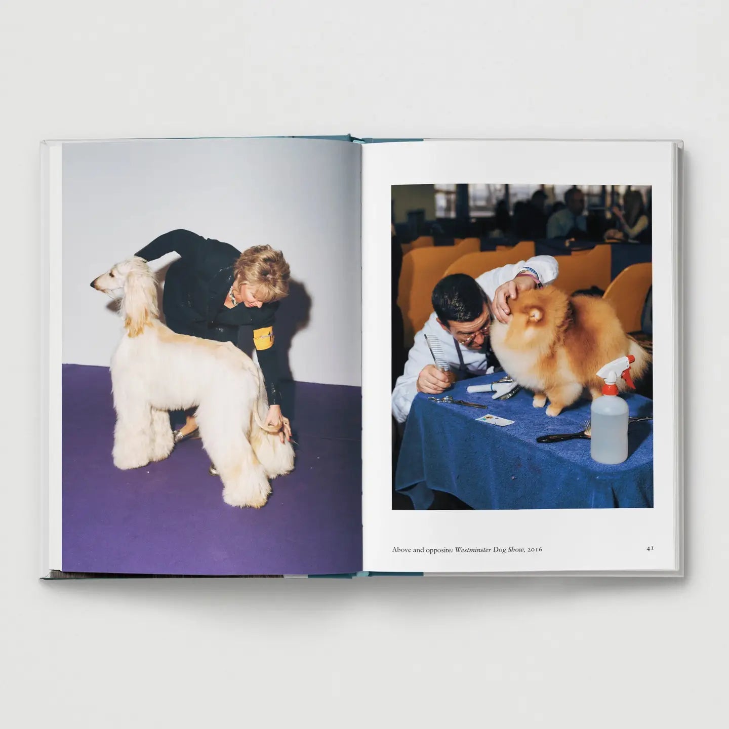 Dog - THE BRISTOL ARTISAN