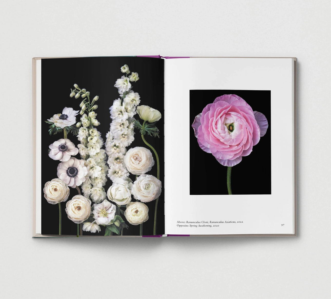 Flower - THE BRISTOL ARTISAN