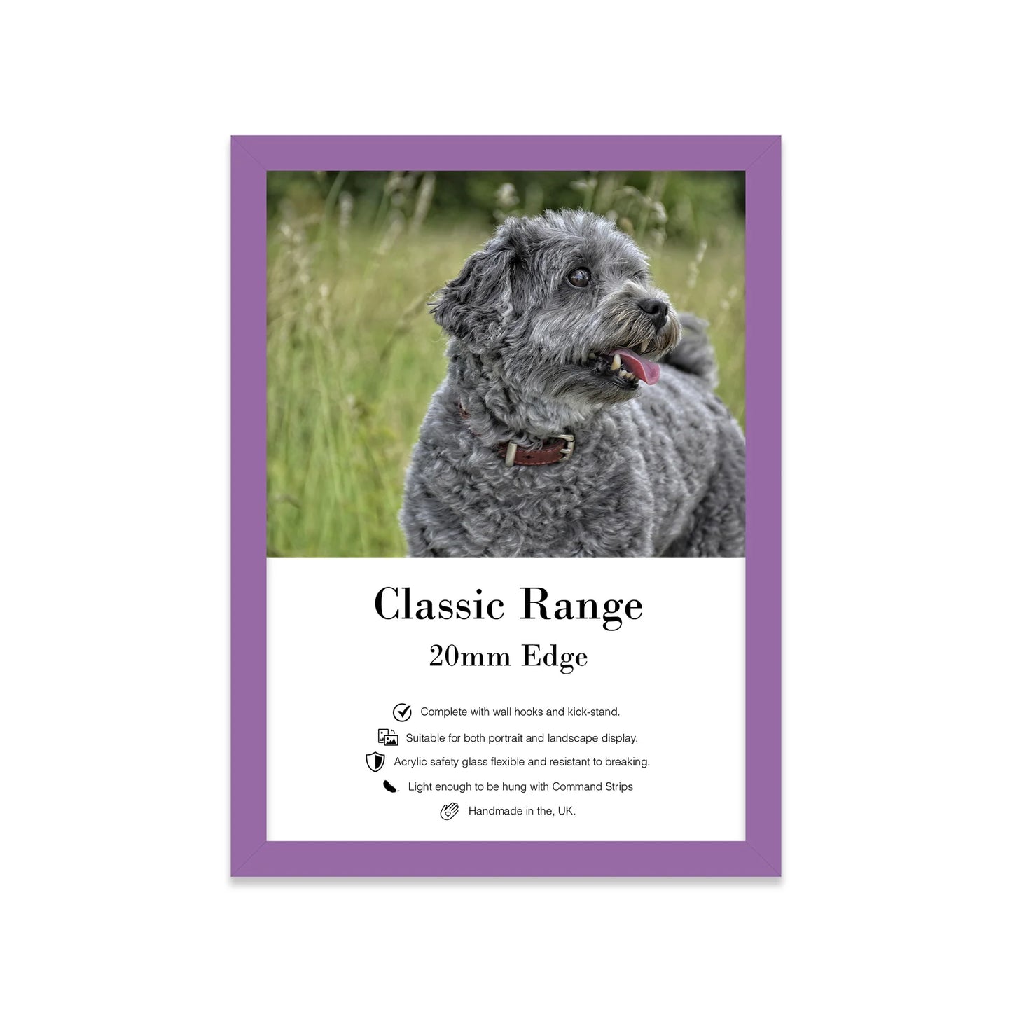 A3 Picture Frame - Purple - THE BRISTOL ARTISAN
