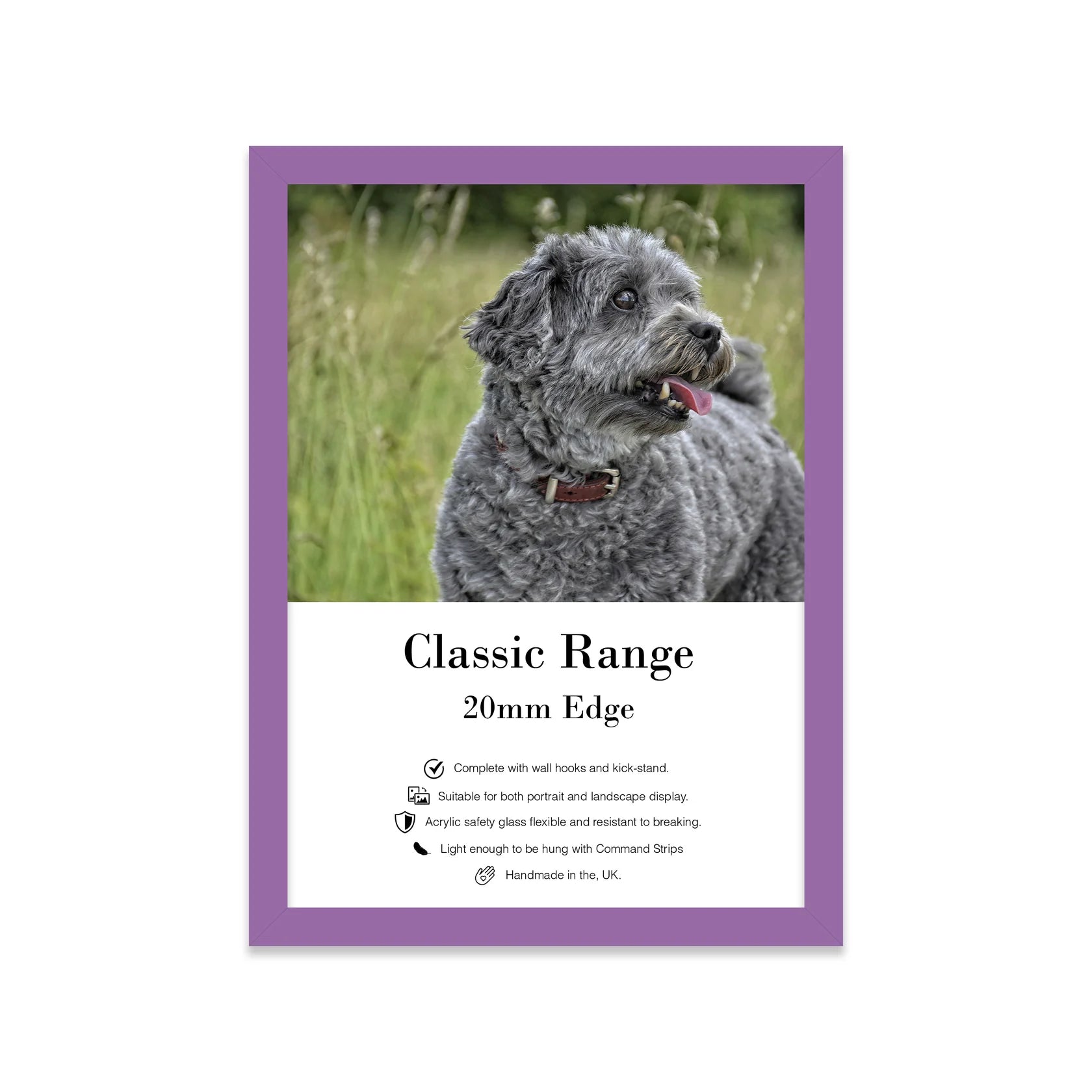 A3 Picture Frame - Purple - THE BRISTOL ARTISAN
