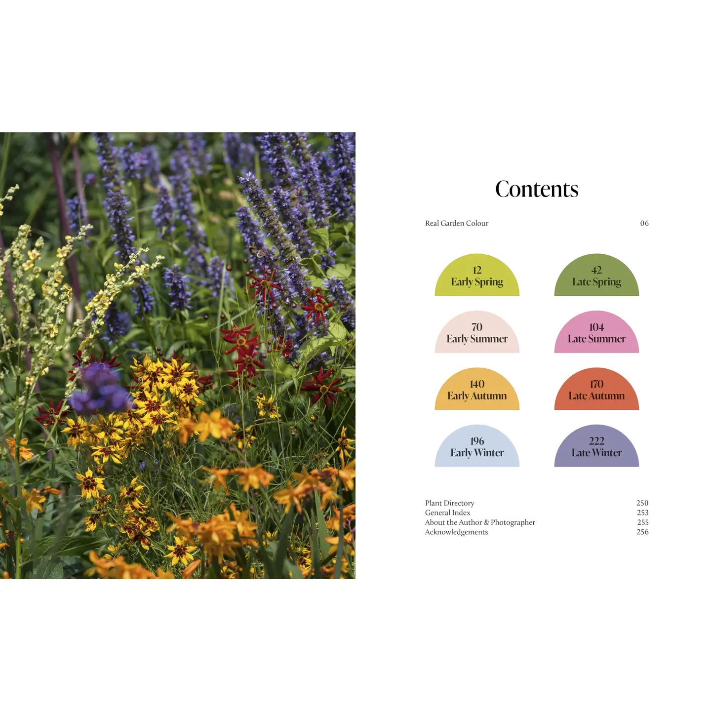 A Year of Colour - THE BRISTOL ARTISAN