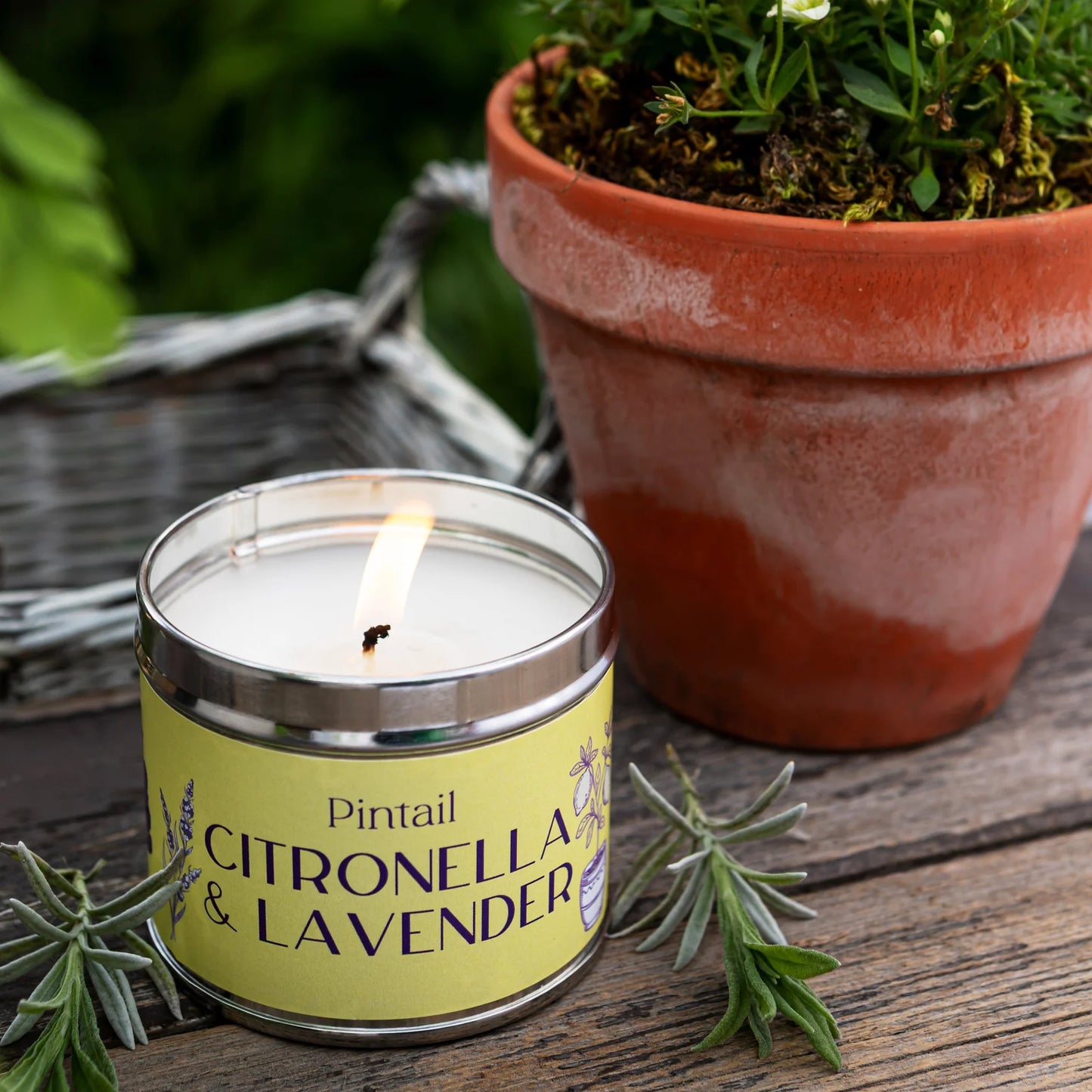Citronella & Lavender Candle