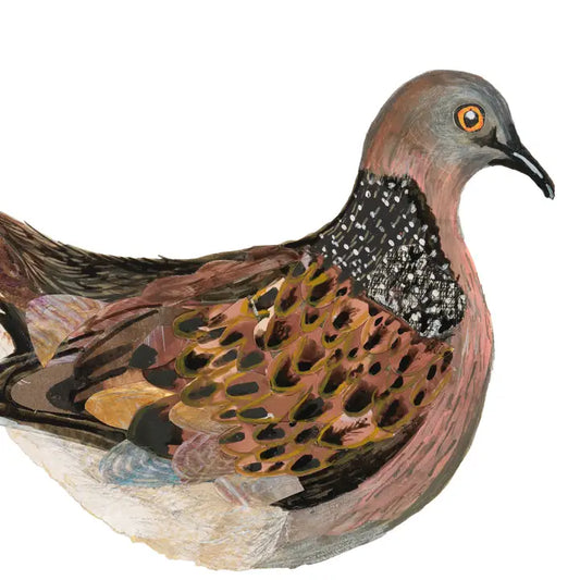 Turtledove Birch Plywood Decoration