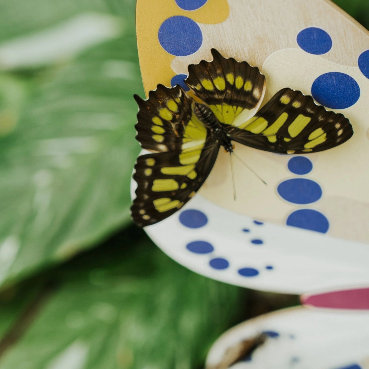 Magpie Butterfly Wooden Wall Decoration - THE BRISTOL ARTISAN