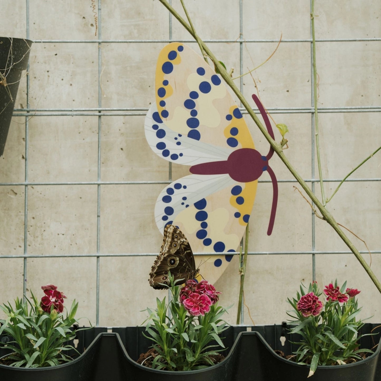 Magpie Butterfly Wooden Wall Decoration - THE BRISTOL ARTISAN