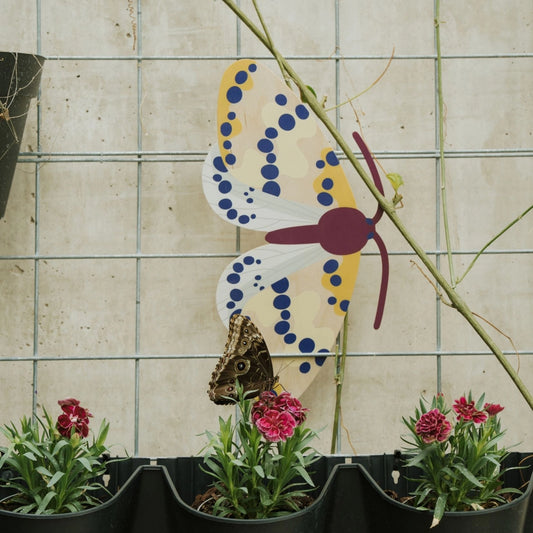 Magpie Butterfly Wooden Wall Decoration - THE BRISTOL ARTISAN