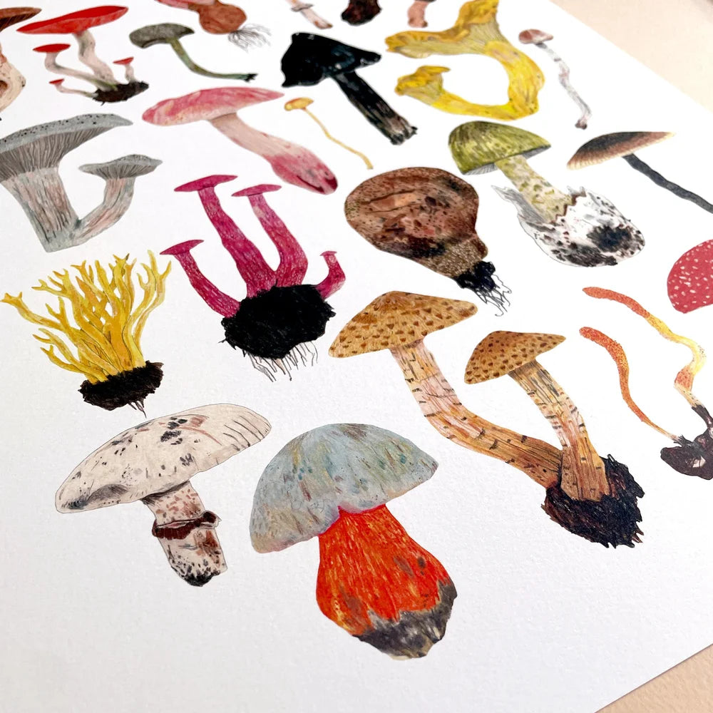 Mushroom and Toadstool A4 Print by James Barker - THE BRISTOL ARTISAN
