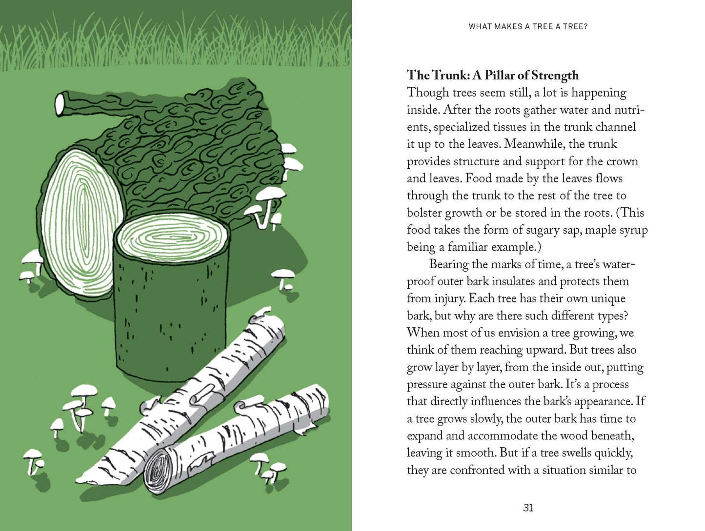 Pocket Nature: Tree Hugging - THE BRISTOL ARTISAN