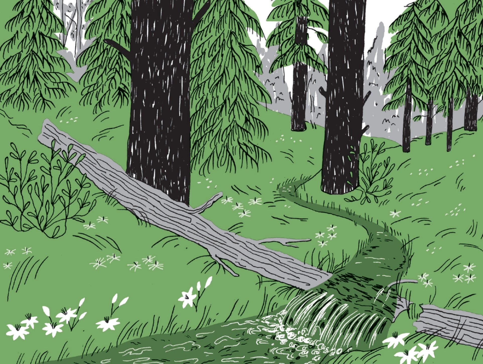 Pocket Nature: Tree Hugging - THE BRISTOL ARTISAN