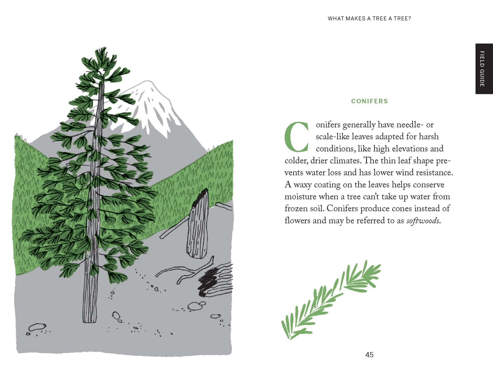 Pocket Nature: Tree Hugging - THE BRISTOL ARTISAN