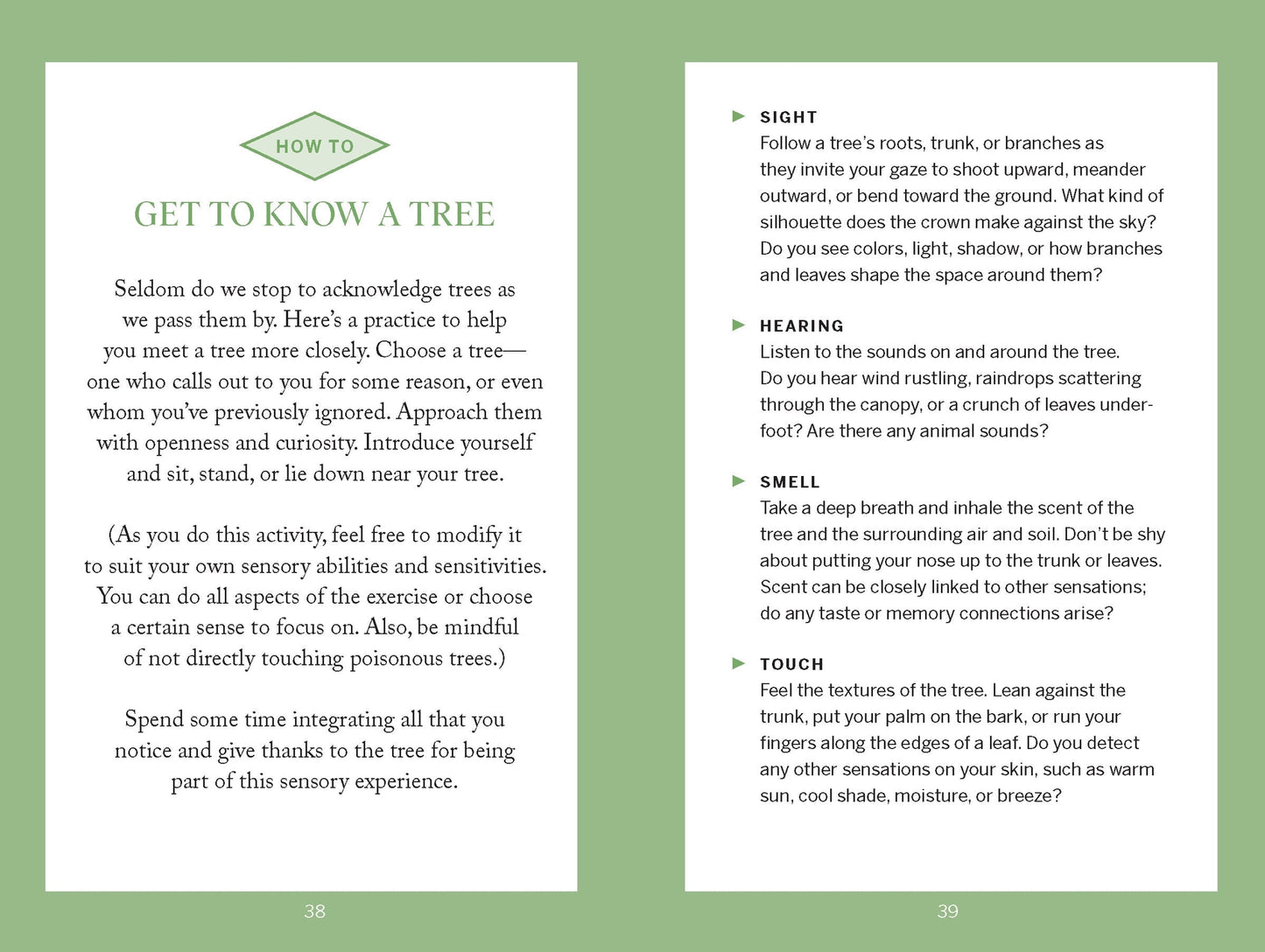 Pocket Nature: Tree Hugging - THE BRISTOL ARTISAN