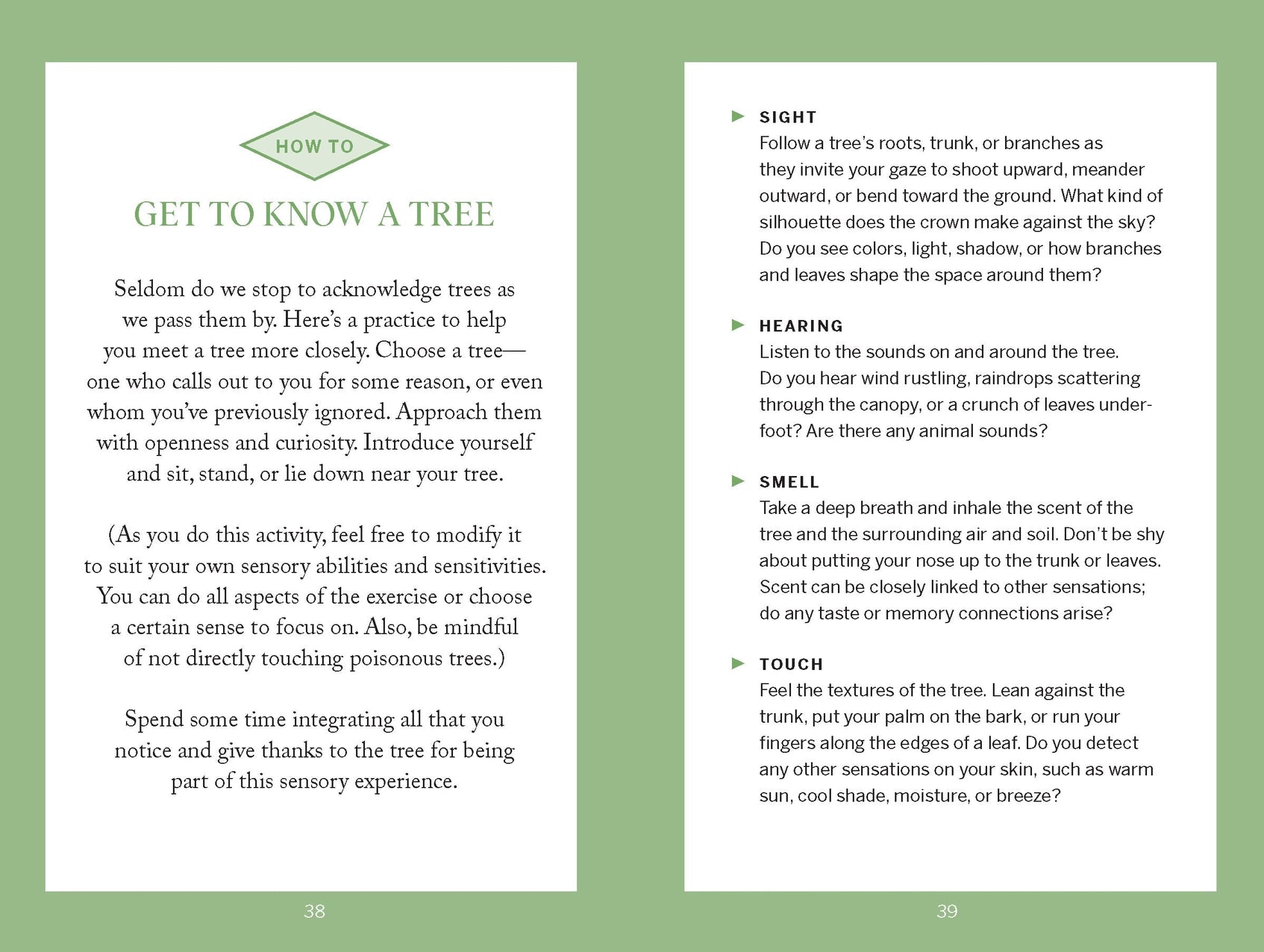 Pocket Nature: Tree Hugging - THE BRISTOL ARTISAN