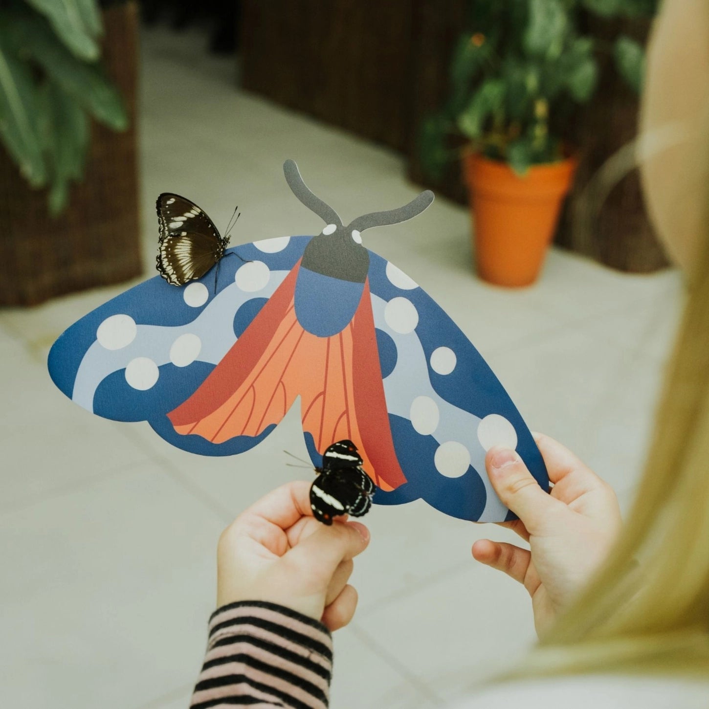 Six-spot Burnet Butterfly Wooden Wall Decoration - THE BRISTOL ARTISAN