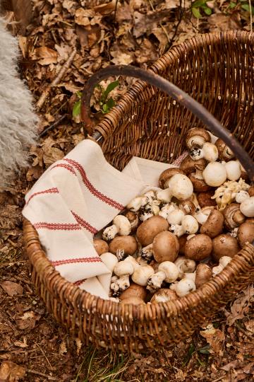 Oval Unpeeled Willow basket - THE BRISTOL ARTISAN
